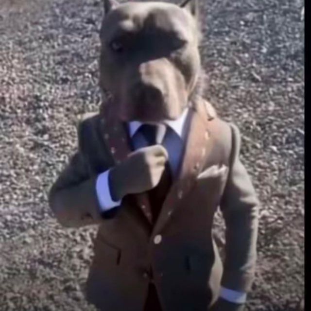 Pawfessional